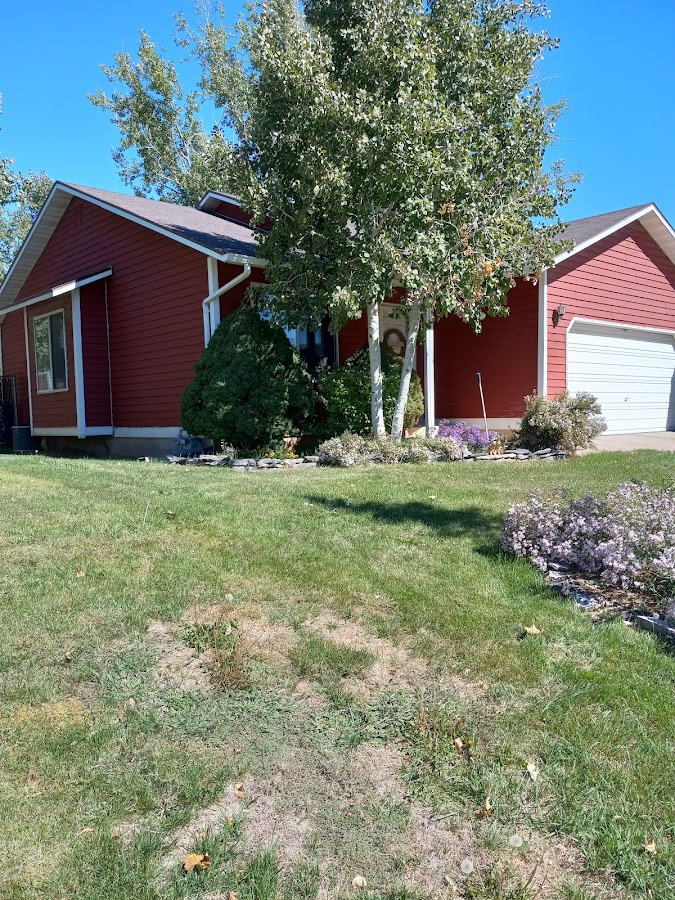 D's Absolute pest control