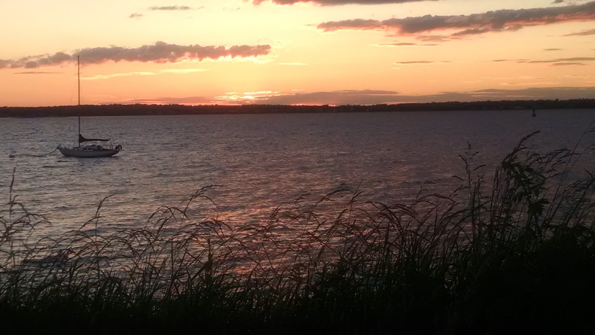 daSilva Landscaping & Construction LLC