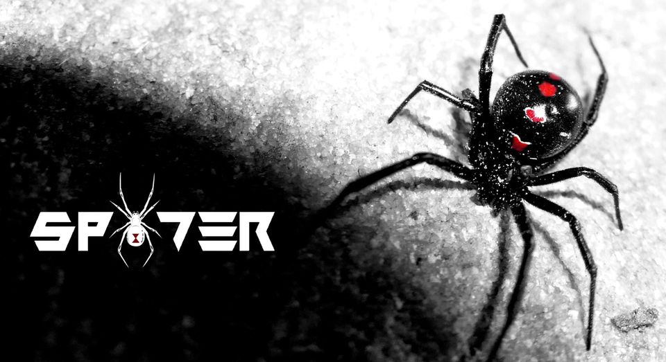 Spider Technology Group
