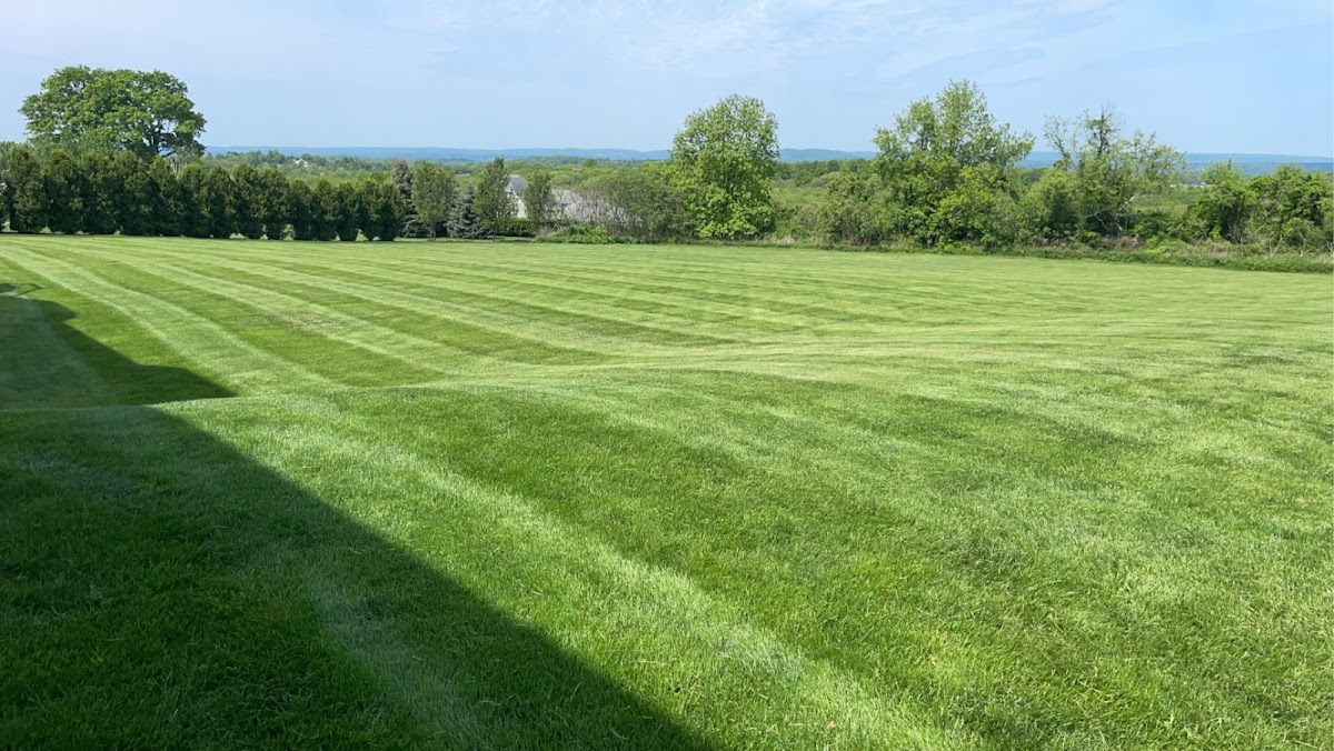 Wallingford Lawn Care LLC