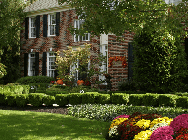 Simply Organic Turf Care & Lawn Care