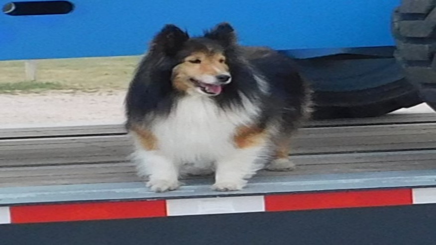 Pete's Towing & Mobile Repair LLC