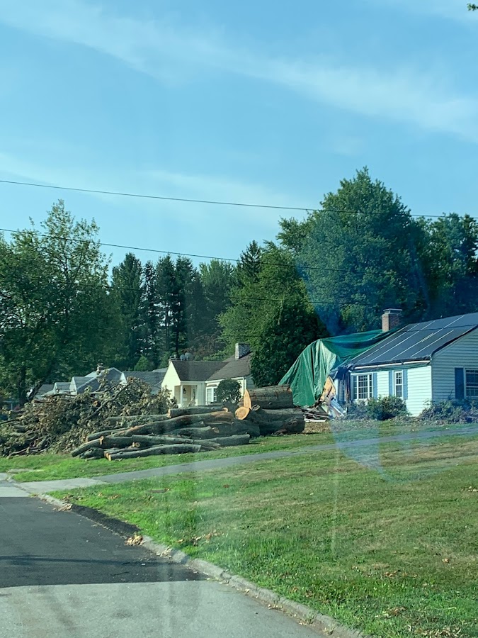 Storm Pro Restoration LLC