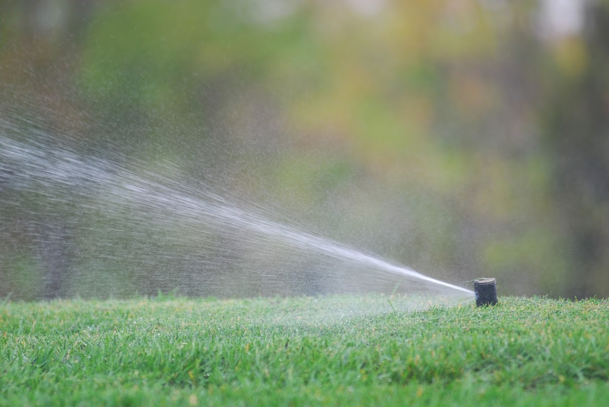 Affordable Lawn Sprinklers, Lighting & Turf