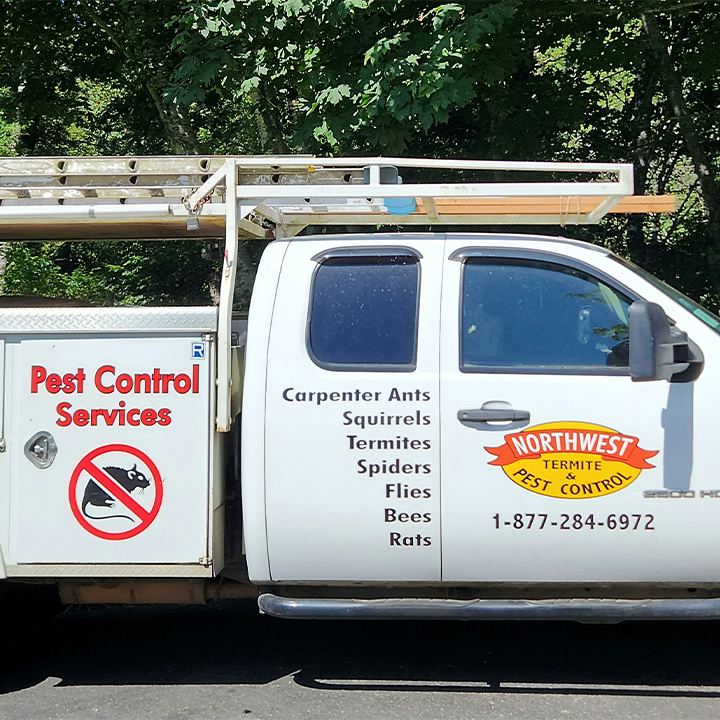 Northwest Termite & Pest Control
