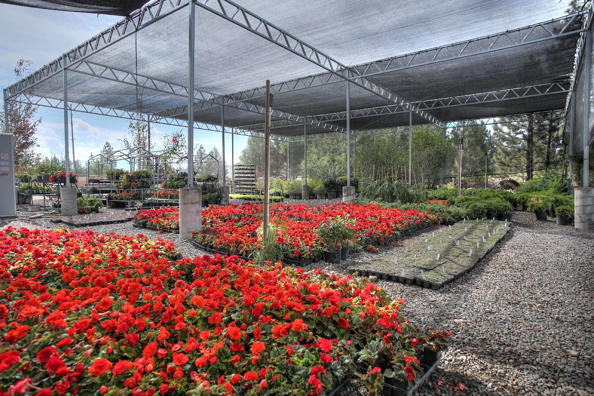 Rock & Rose Nursery + Landscape