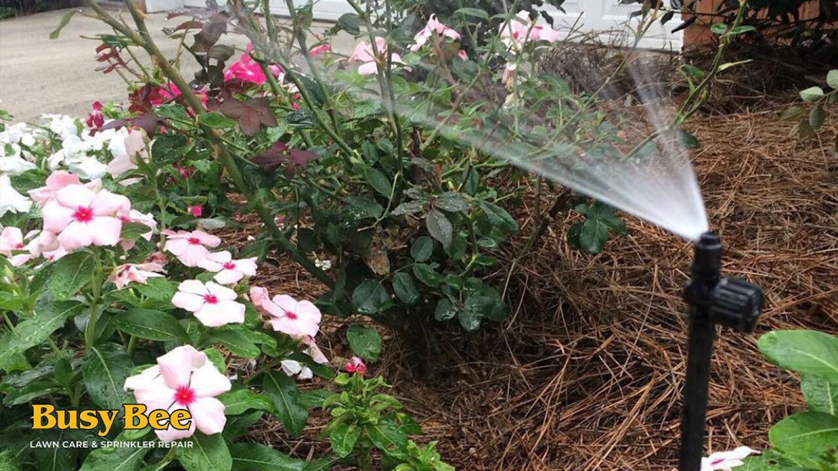 Busy Bee Lawn Care & Sprinkler Repair