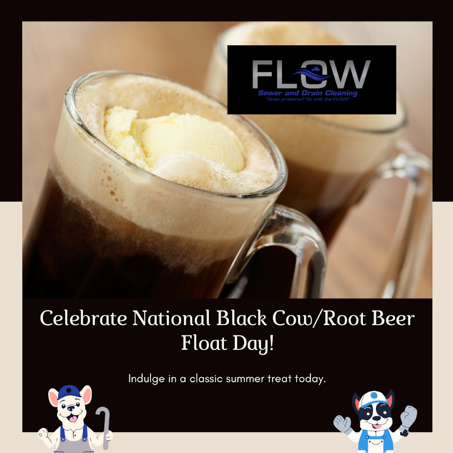 Flow Sewer and Drain Cleaning