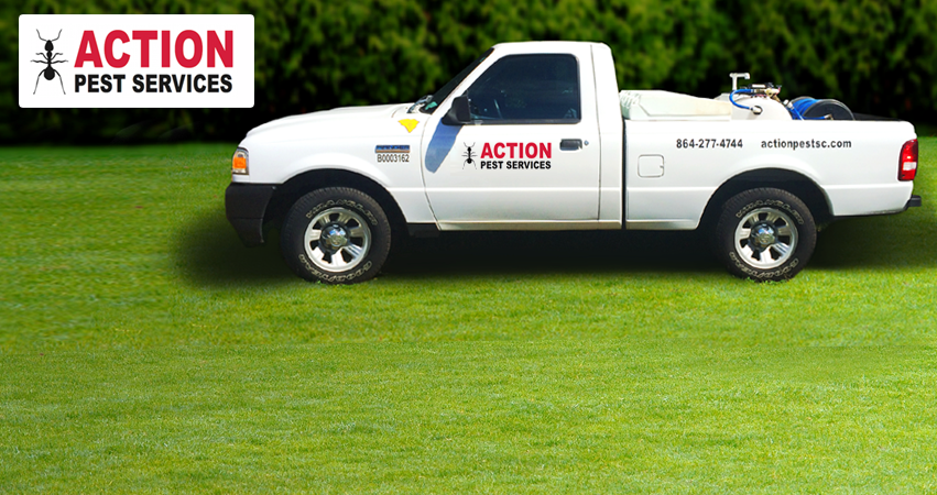 Action Pest Services