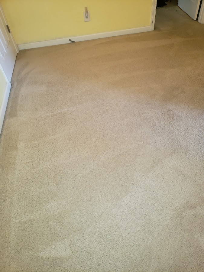 Deep Clean Carpet & Tile