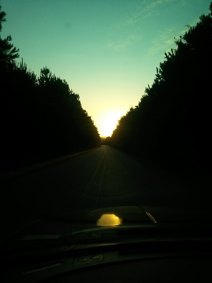 George Hales Repair Services