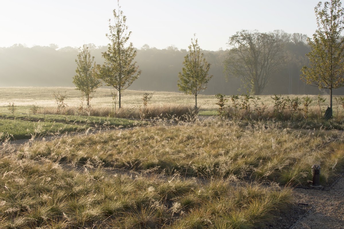 Wolf Josey Landscape Architects