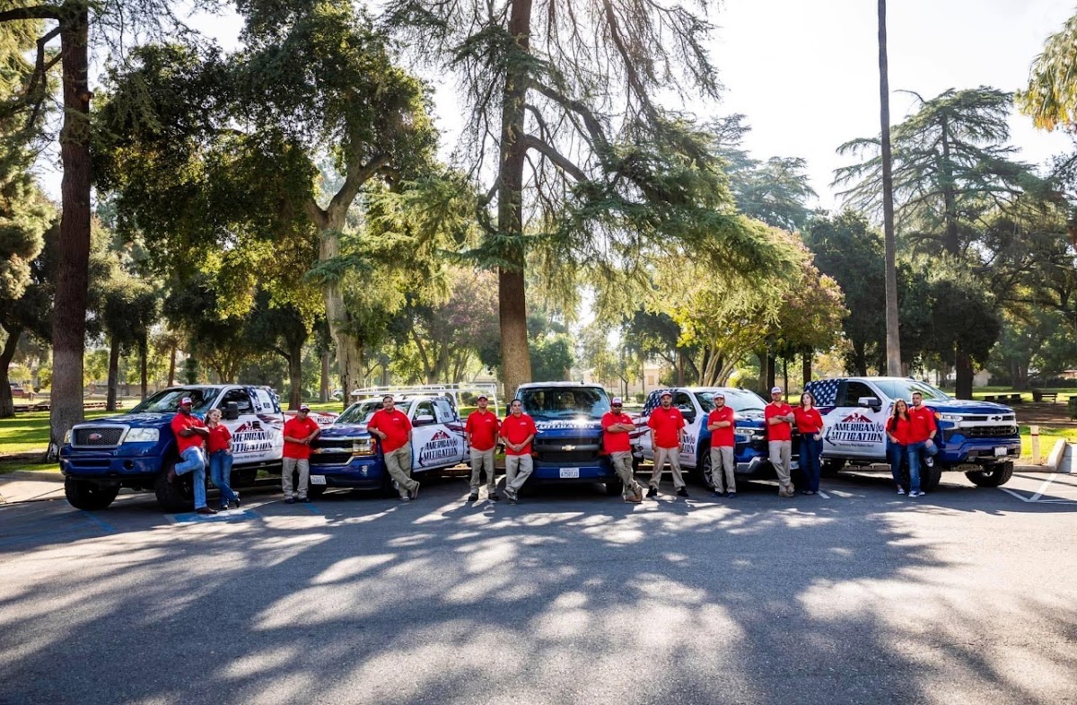 All American Mitigation