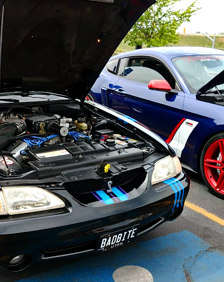 Weston's Special Services