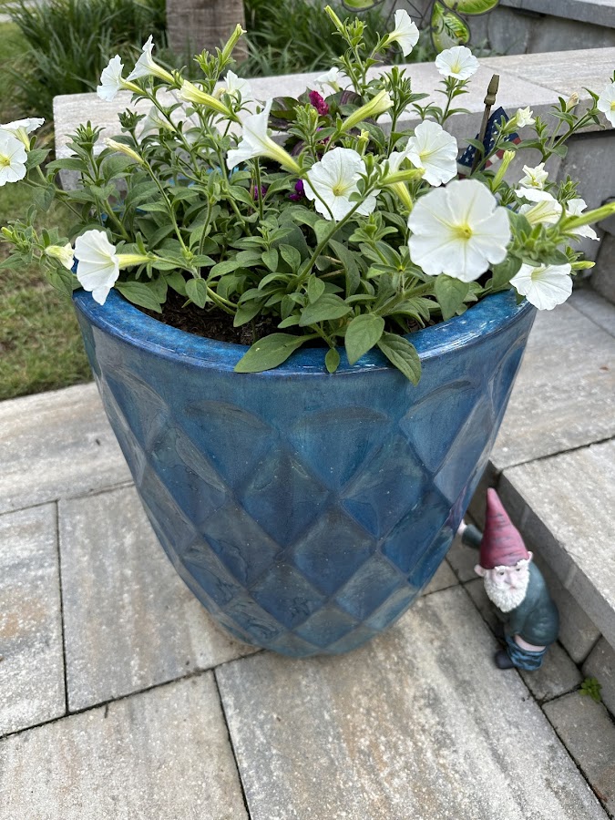 C & A Landscape Maintenance LLC