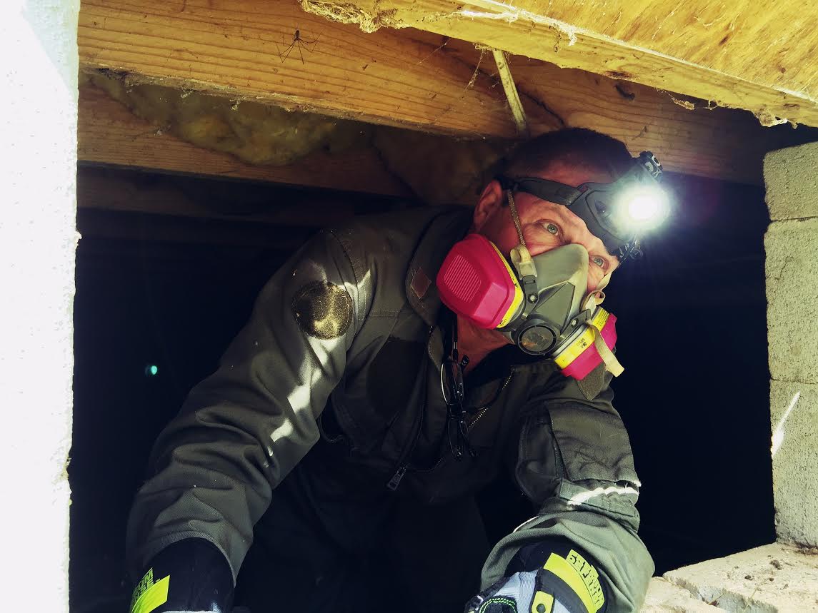 Attic to Foundation, LLC