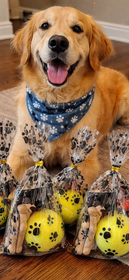 Mr. Appliance of Louisville Dryer Repair in Louisville, KY photo