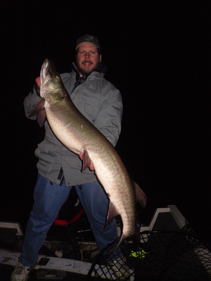 Quality Computer Services of Central Minnesota