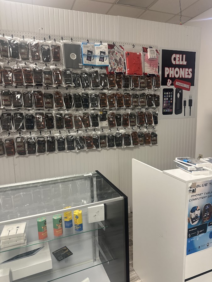 BLUE TECH - Phone and Computer Repair