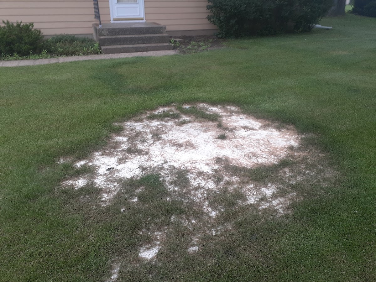 Johnson Pump Services