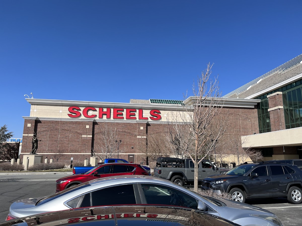 Scheels