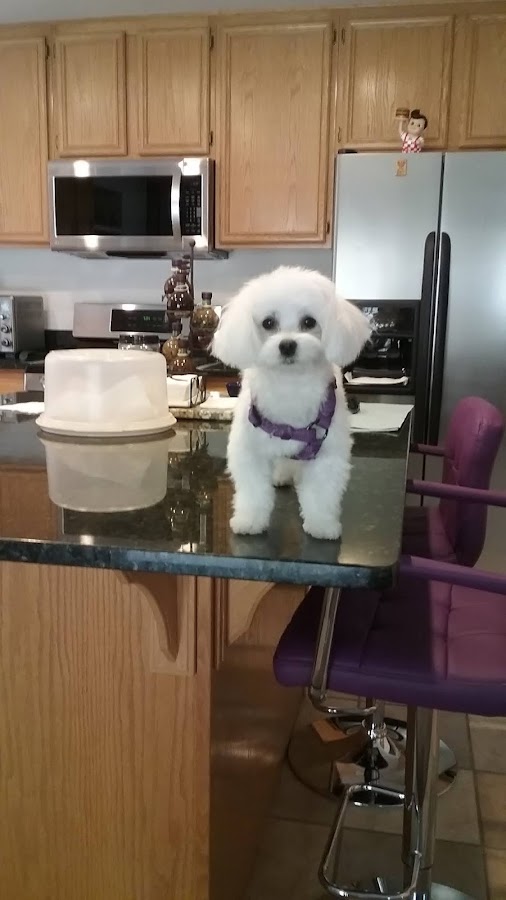 Prescott Valley Heating and Cooling LLC