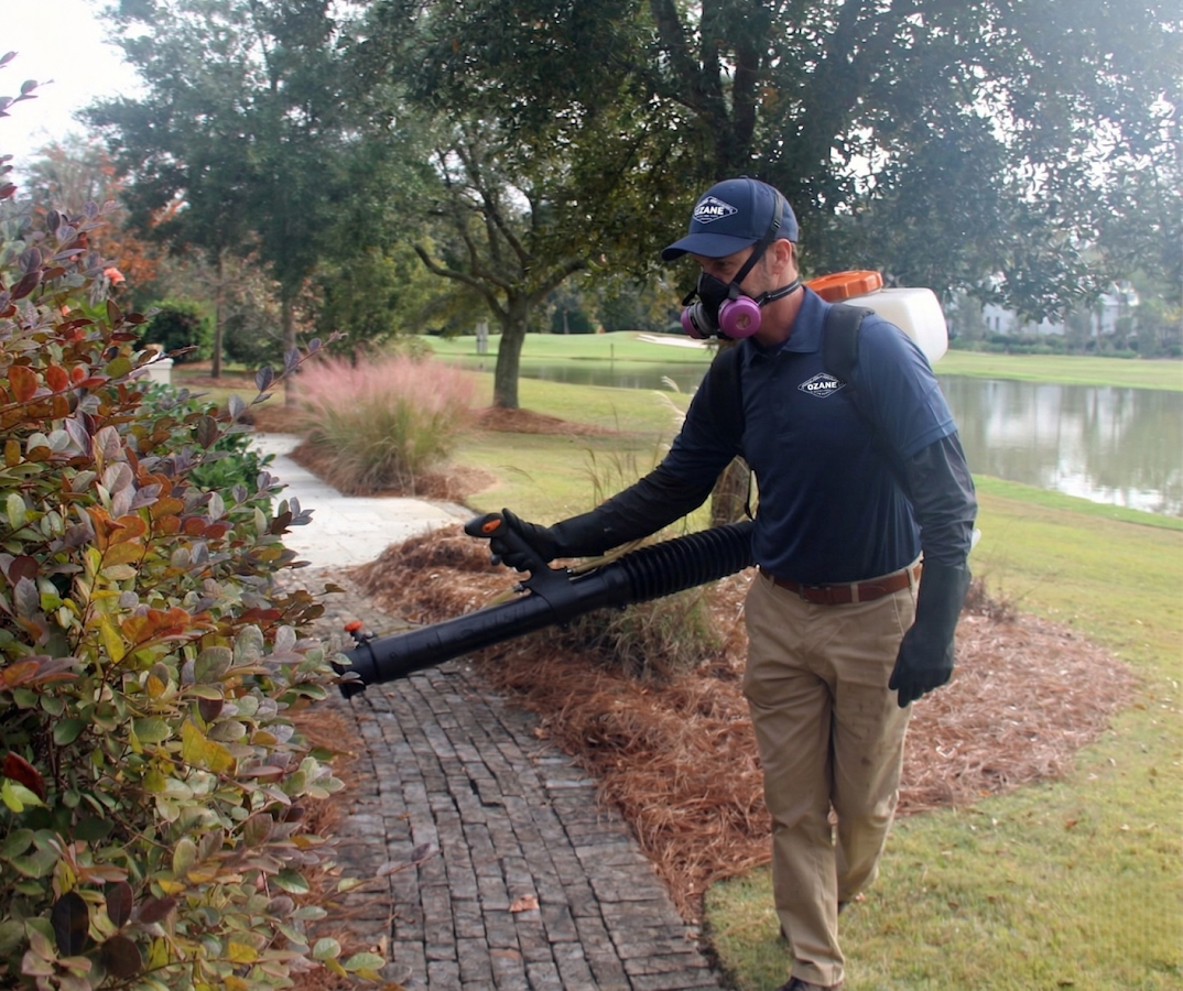 Ozane Termite & Pest Control