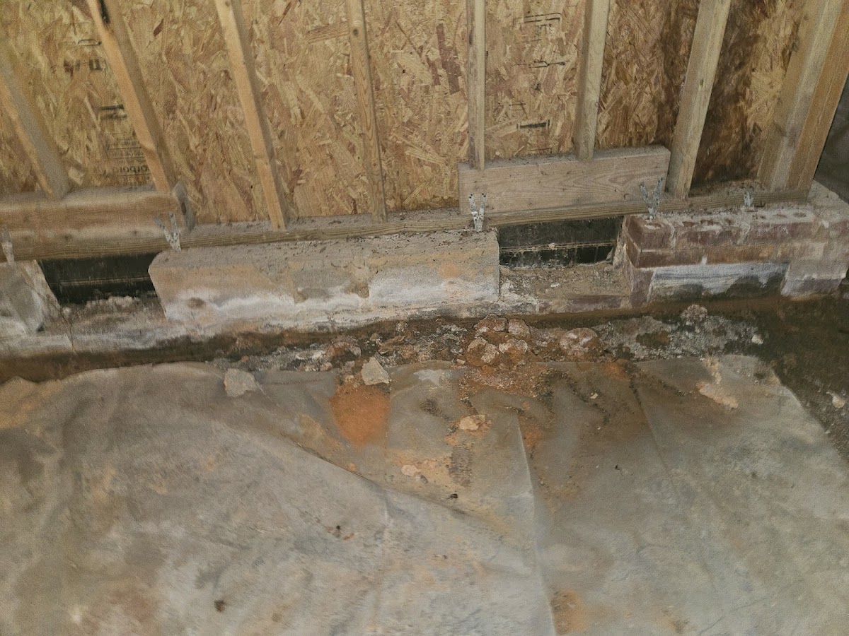 Queen Foundation Repair