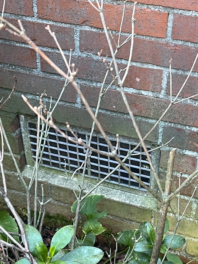 Empire Pest Control, LLC