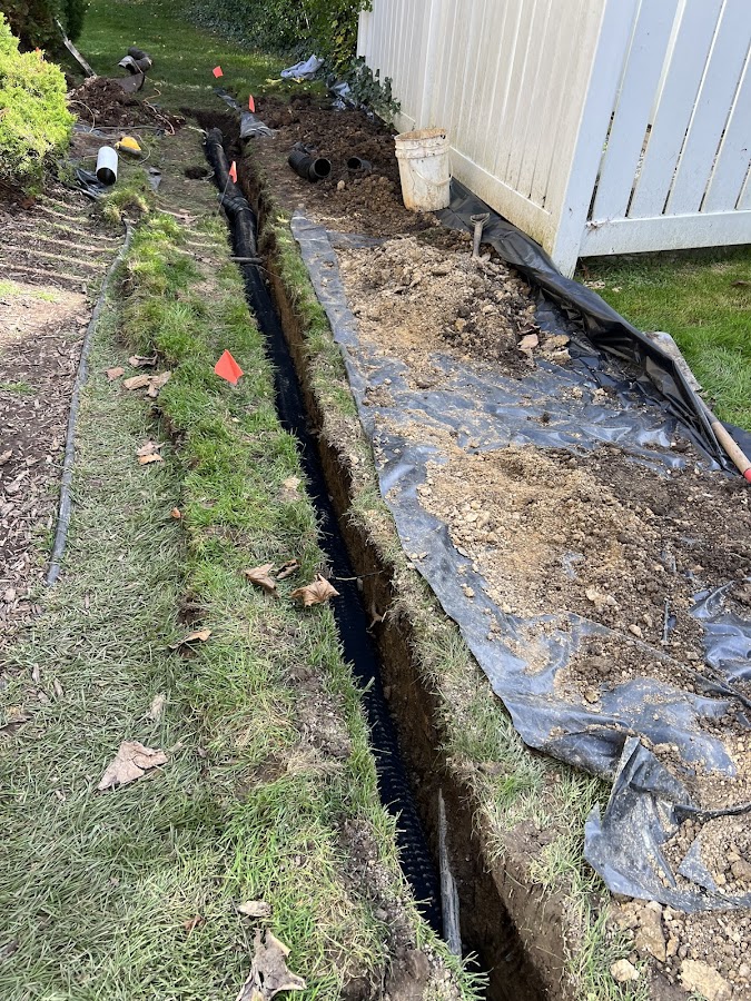 Affordable Dry Basement