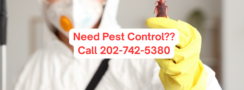 Pest Control Pros