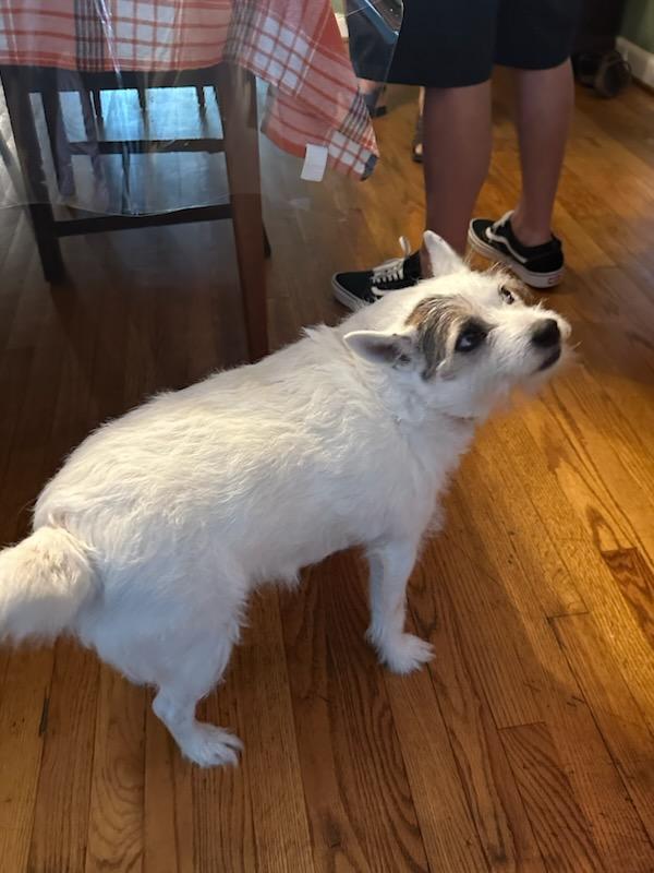 A BETTER HANDYMAN LLC - A BETTER HANDYMAN LLC AC Repair in Norfolk, VA photo