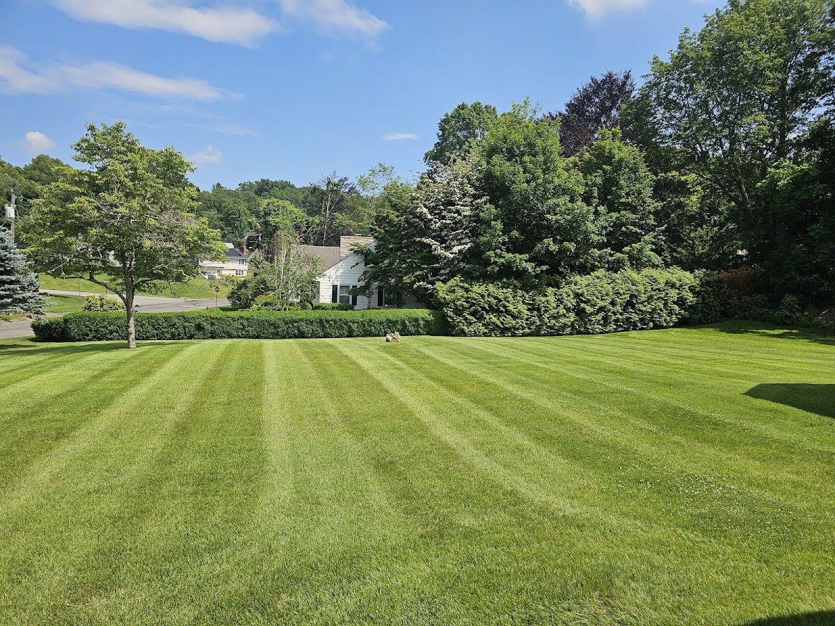 Limitless Realty Services LLC