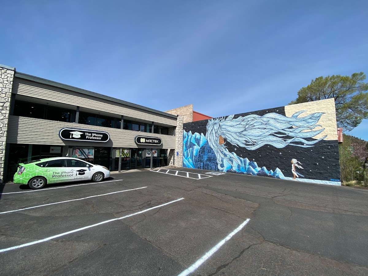 The iPhone Professor