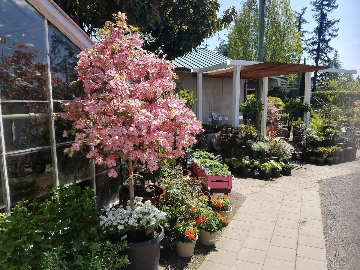 Drake's 7 Dees Landscaping and Garden Center