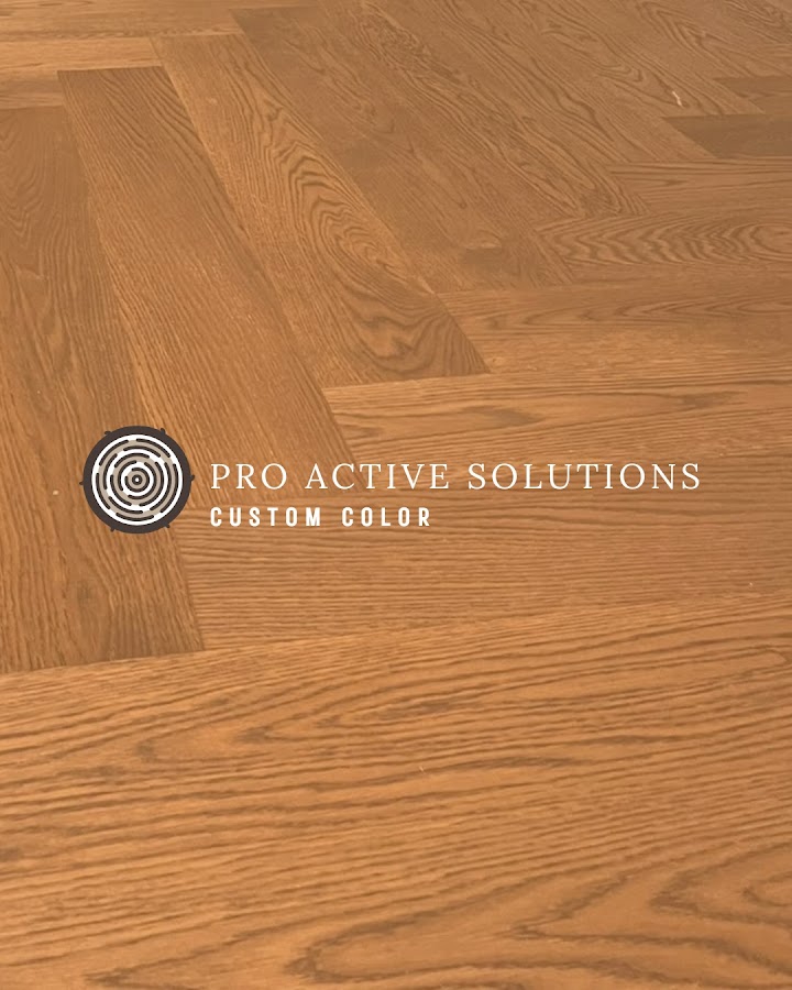 ProActive Solutions LLC