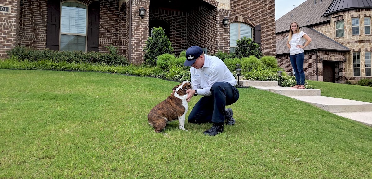 Moxie Pest Control - West Palm Beach