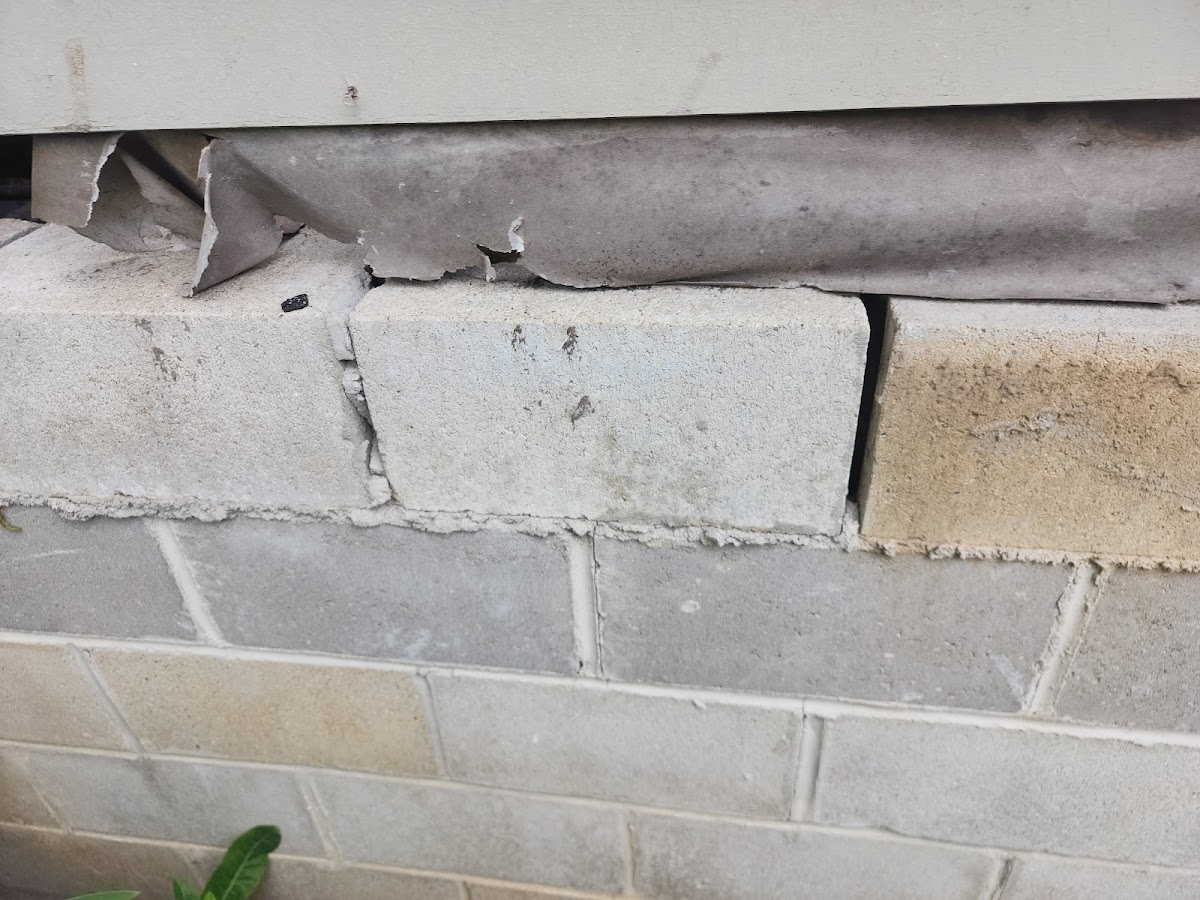 His & Hers Masonry and Restoration