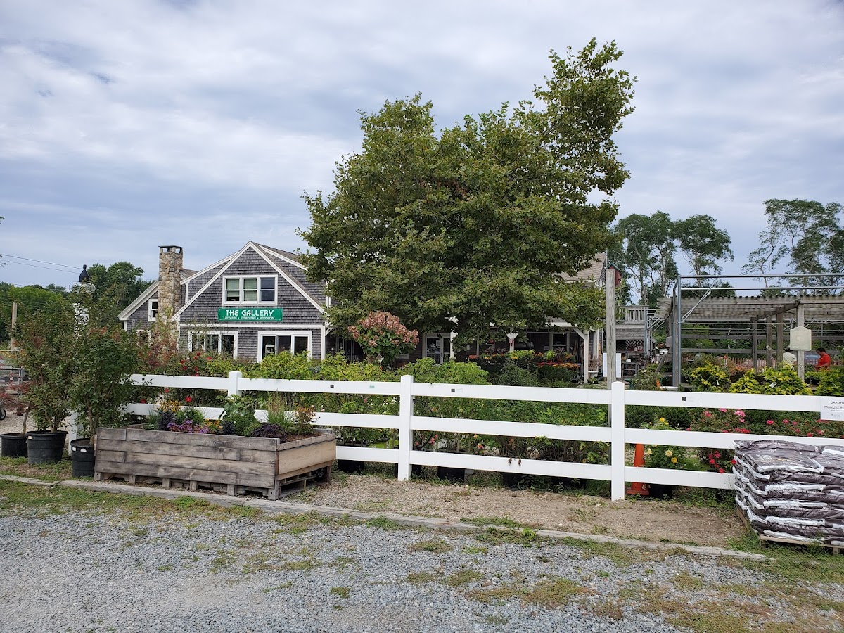 Ponderosa Landscaping