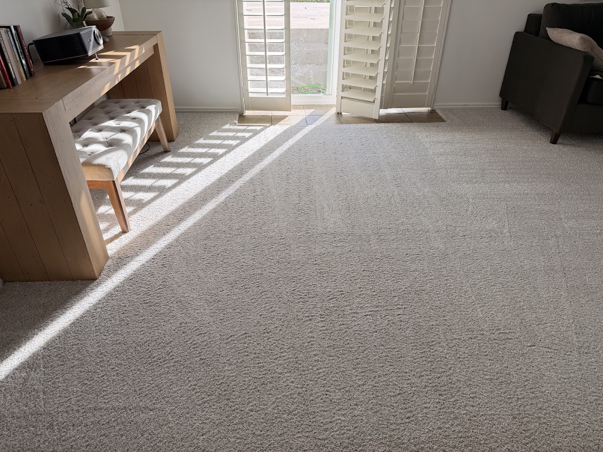 Castillo Carpet Cleaning