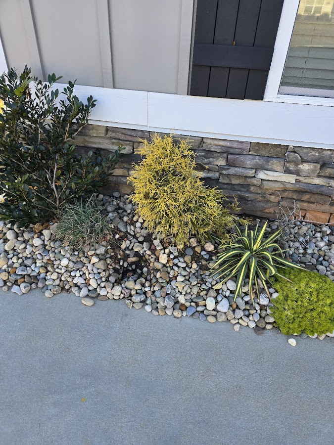 Rollin's Landscape Co., Inc.