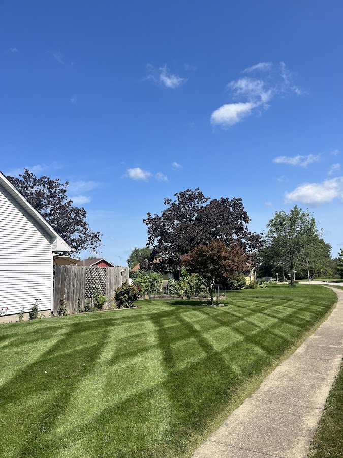 Grizzly Greens Lawn Care and Landscaping