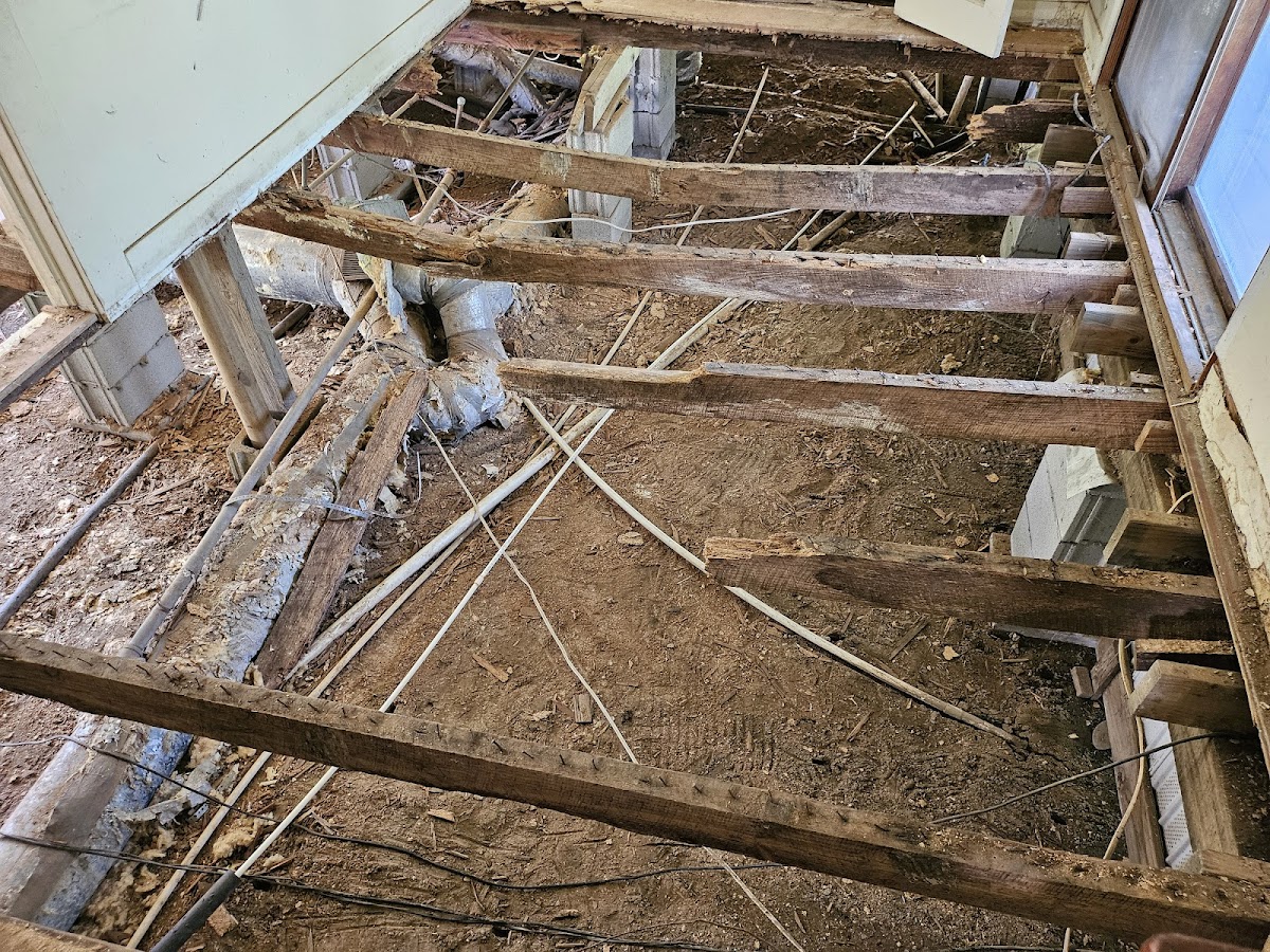 Brogdon Construction, Inc. Foundation Repair in Moselle, MS photo