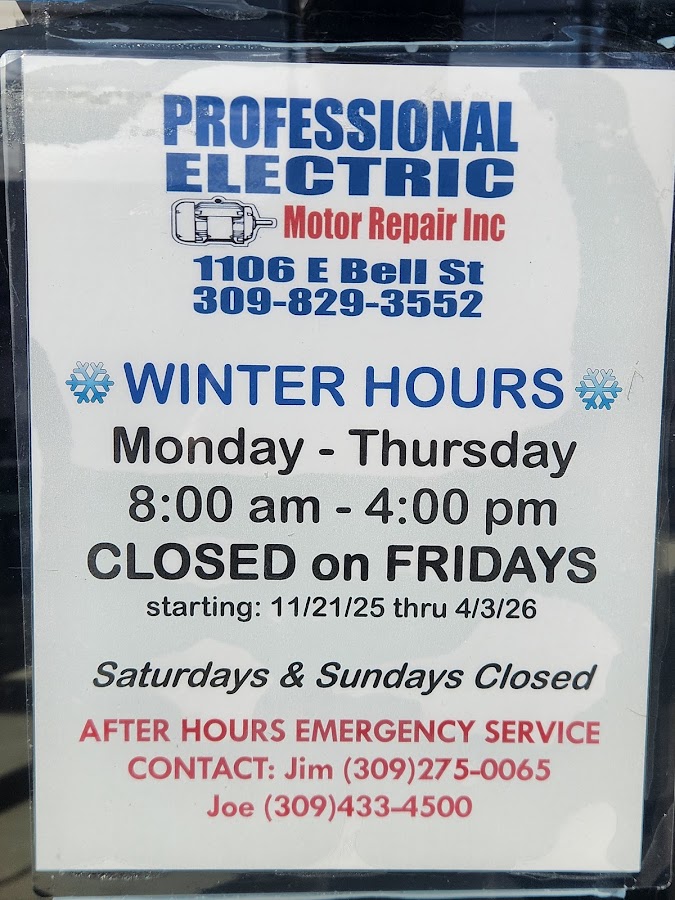 Professional Electric Motor