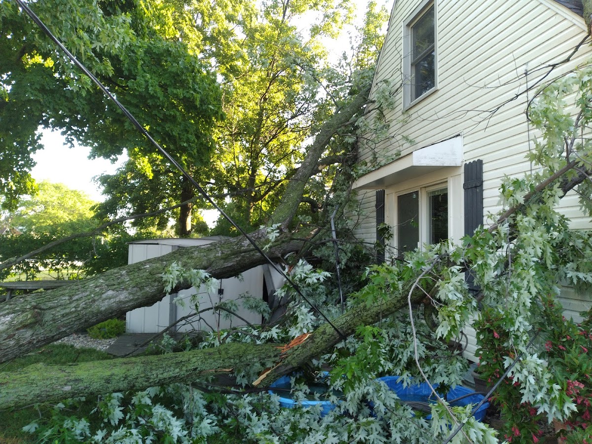 Tom Gagliardi Electric Co., LLC