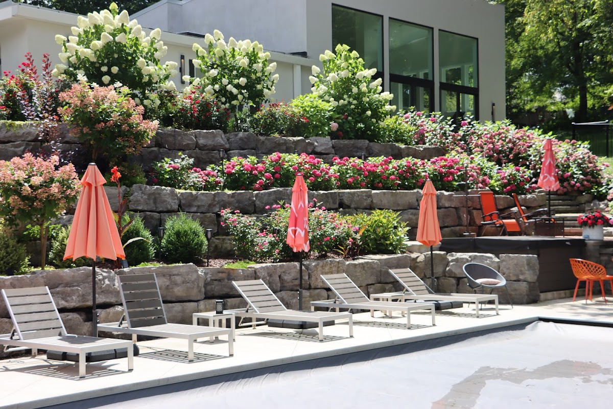 Benson Landscape & Design