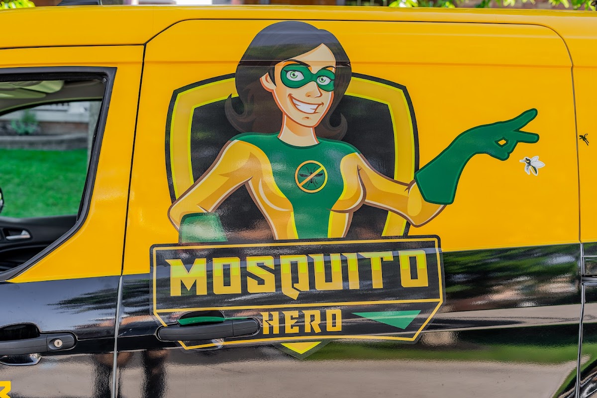 Mosquito Hero
