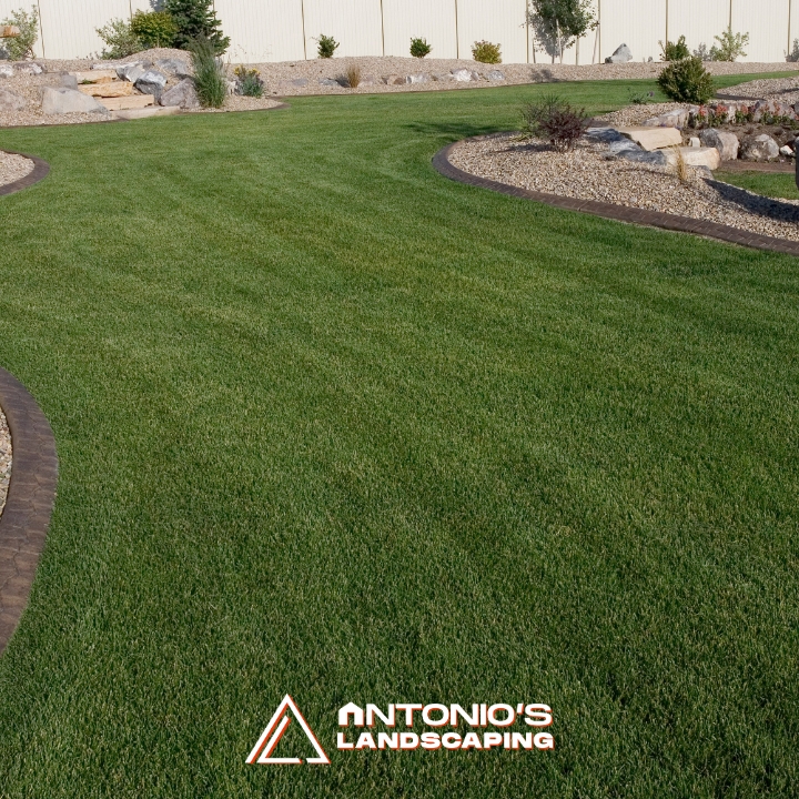 Antonio's Landscaping Llc