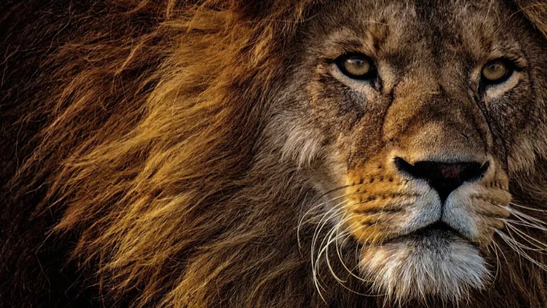 Great Scott! Computer Services