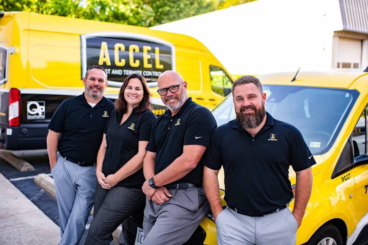 Accel Pest & Termite Control
